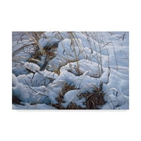 Zaštitni znak likovne umjetnosti' Snow Glow Field vrapci ' platnena Umjetnost Wilhelma Goebela
