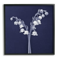 Stupell Industries đurđevak bijeli obješeni cvjetovi Ilustracijska slika crno uokvirena umjetnička štampa