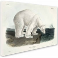 Zaštitni znak Likovna umjetnost Ursus Maritimus Polarni medvjed umjetnost na platnu Johna Jamesa Audubona