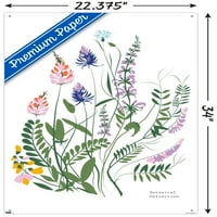 Botanical Collection-zidni Poster Wild Flowers sa klinovima, 22.375 34