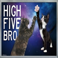 Keith Kimberlin - mačići - visoki pet bro u svemirskom zidnom posteru, 22.375 34