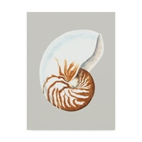 Zaštitni znak likovne umjetnosti Nautilus platno umjetnost Michael Willett