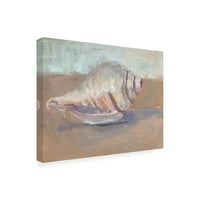 Jennifer Stottle Taylor' Conch ' Canvas Art