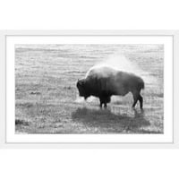 Marmont Hill Lone Buffalo Uokvireni Otisak Slike