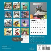 Grumpy Cat Wall Calendar: