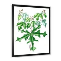 Dreed Drevni crtež divljih biljaka tradicionalnog uokvirenog otiska umjetničkog tiska