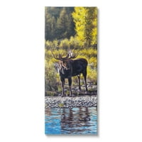 Stupell Industries Rano ljeto Moose na jezeru Životinje i insekti Galerija slikanje zamotane platno Print Wall Art
