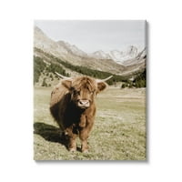 Stupell Industries Countride Highland Cattle Distant Mountain Longwhorn fotografija, 30, dizajn Danita Delimant