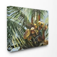 Stupell Industries tropical Palm Coconuts zelena žuta slika platnena zidna Umjetnost Suzanne Wilkins