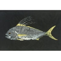 Marmont Hill Roosterfish Warrena Sellersa slika Print na omotanom platnu
