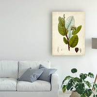 Zaštitni znak likovne umjetnosti 'Verdant Foliage I' Canvas Art by Vision Studio